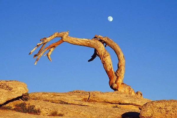 風景攝影：美國黃石國家公園 