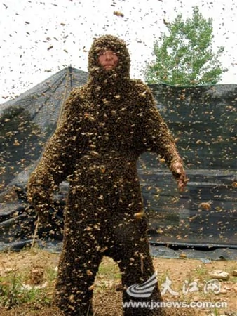 男子抓住蜂王吸引25萬隻蜜蜂上身(圖)