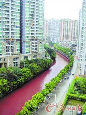 廣州市區內河水雨後突變血紅色 持續達三小時 