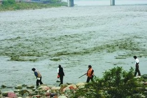 四川雅安江水污染 鱼类死亡全城停水 