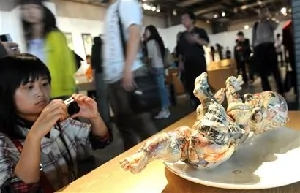 大陸「結石寶寶」陶瓷出現國際展覽會上