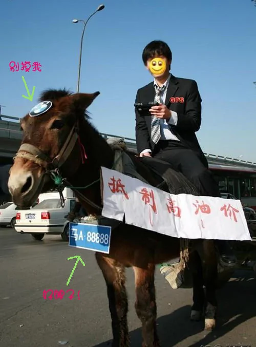 抵制高油价，北京男子骑BMW牌毛驴儿上班