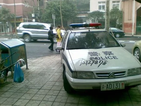无处不在的“办证”广告竟涂上警车 写上树叶（组图）