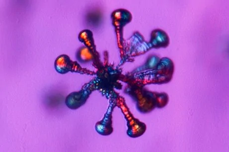 科學家首次打造出彎曲晶體酷似自然物