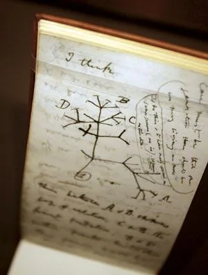 新发现或证明达尔文生命进化树理论不正确 