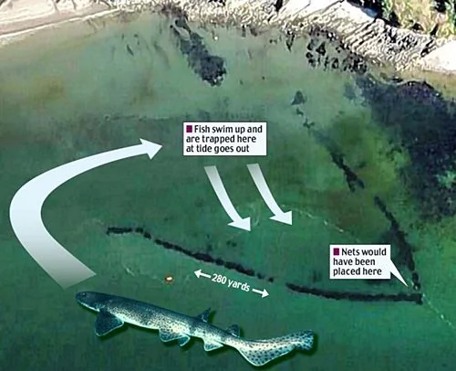 英國考古學家發現千年前迄今為止最大捕魚場（組圖）