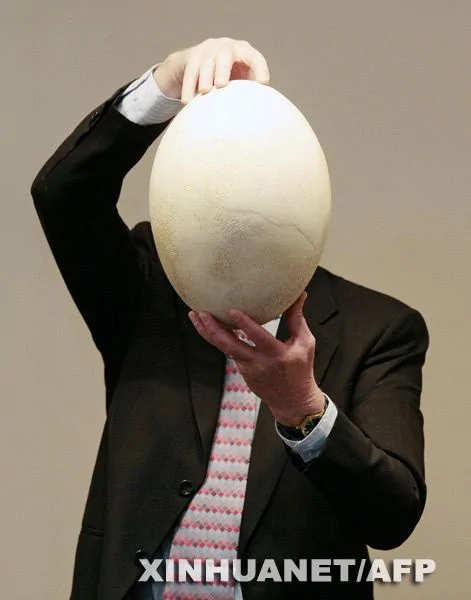 英国将出售17世纪巨蛋 你见过这么大蛋吗