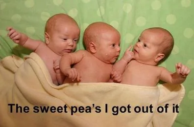 三胞胎母親懷孕震撼全過程