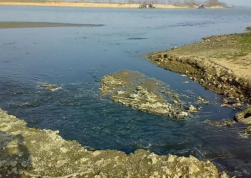 觸目驚心:南水北調水遭污染