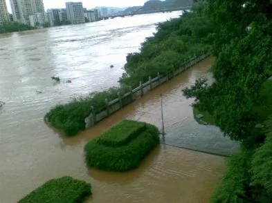 洪水淹沒柳州城  水利失修老天怒（圖）