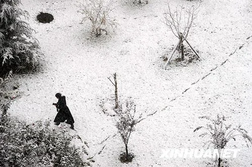北京迎來今年入冬首場降雪 城區氣溫驟降(圖)