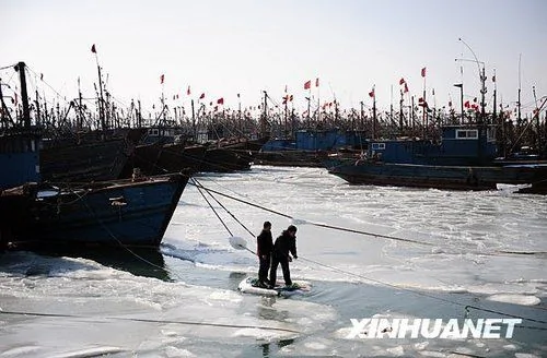 渤海湾40%海域被海冰覆盖 塔冰达到27厘米 