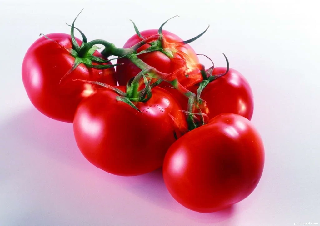 菜農自述：黃瓜、絲瓜要打拉長劑 番茄打膨大劑