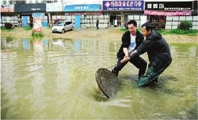城市豆腐渣新聞集錦：水淹、塌陷、裂縫、危樓