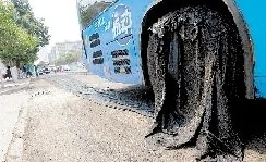 罕見高溫：鄭州路面被曬化 公交車粘在路上動不了