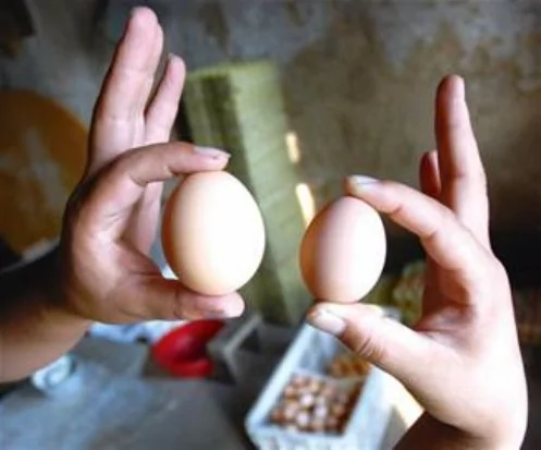 曝光山鸡蛋产业黑幕:蛋黄靠染人工色素上色