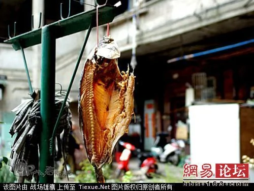 一個真實的上海版蝸居