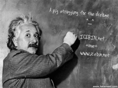 爱因斯坦与弗洛伊德一次神奇试验