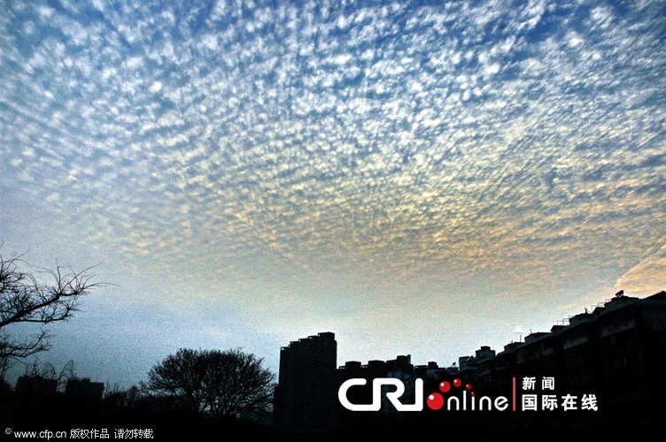 杭州上空層雲經緯分明 宛若布下「天網」(高清組圖)