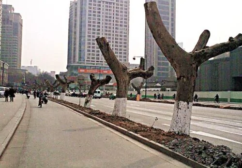 周六逾萬人集會抗議南京大屠樹