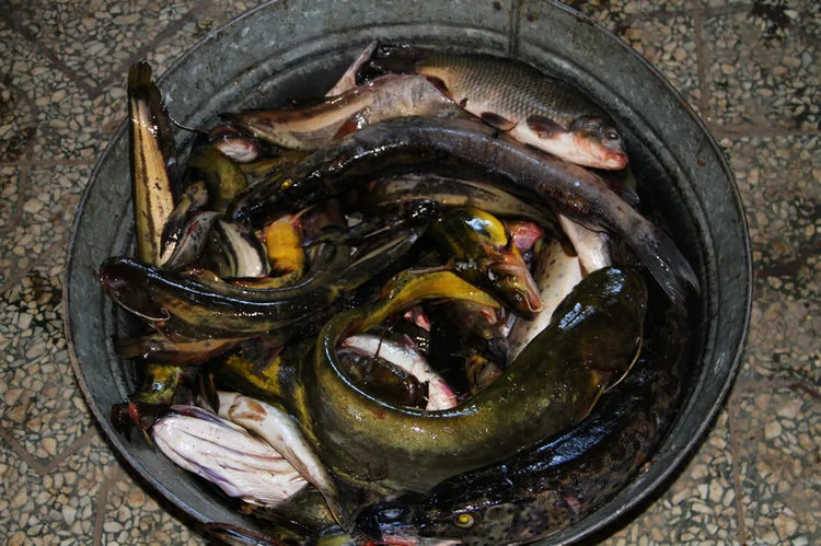 實拍：仙境中的真實生活 烏蘇里江里的打漁人(高清組圖)