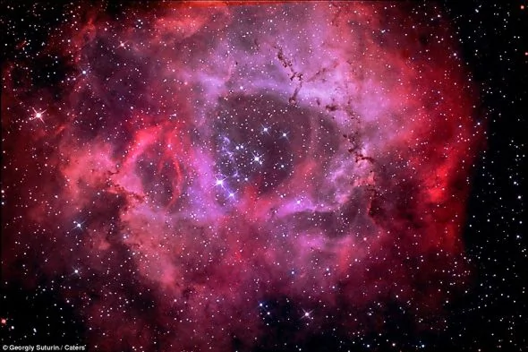 玫瑰星雲是一個巨大的天體，光從它的一側到達另一側需要130年