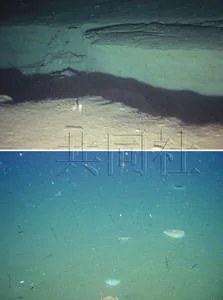 日本調查船在東日本地震震央海底發現裂縫（圖）