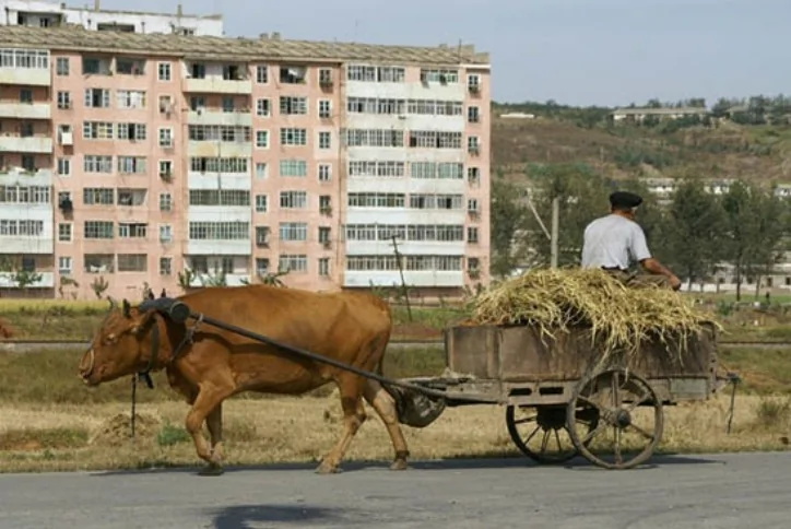 [照片集]朝鮮可看見牛車的高速公路