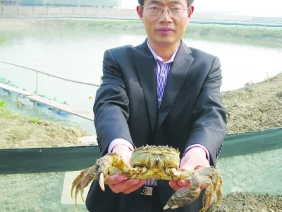 单只1斤重大闸蟹被标价15万 令人目瞪口呆