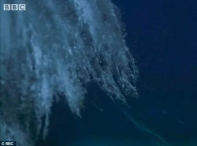 纪录片首次拍到南极死亡冰柱沉入海底奇景