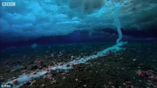纪录片首次拍到南极死亡冰柱沉入海底奇景
