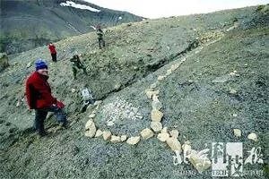挪威惊现巨型海怪化石 头长两米牙齿如钻头