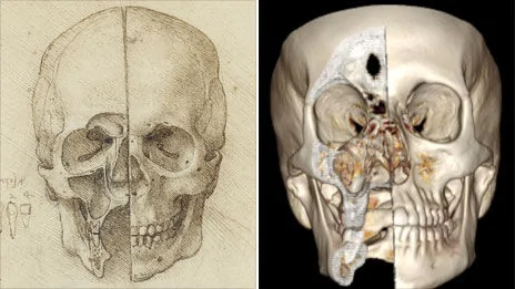 英国展出达芬奇人体解剖素描：精确度惊人(组图)