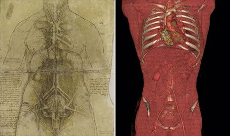英國展出達文西人體解剖素描：精確度驚人(組圖)