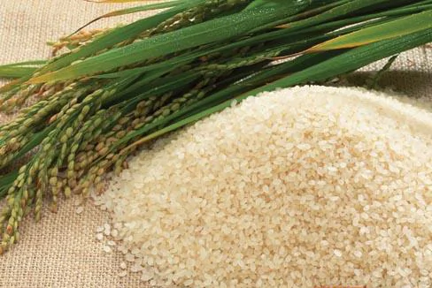 部分稻穀及大米
