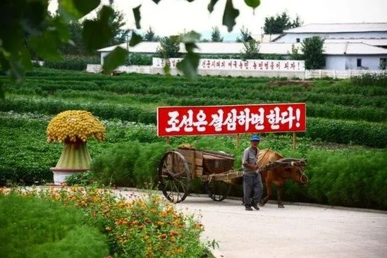 实拍朝鲜平民：他们原来是这样活着的