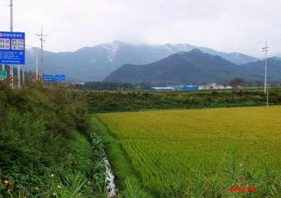留学实拍：带你看一个真实的韩国农村