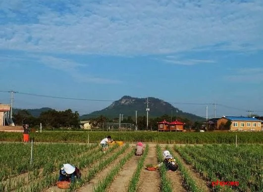 留学实拍：带你看一个真实的韩国农村