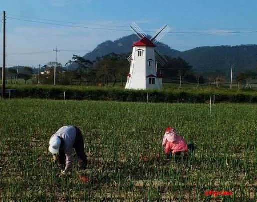 留學實拍：帶你看一個真實的韓國農村