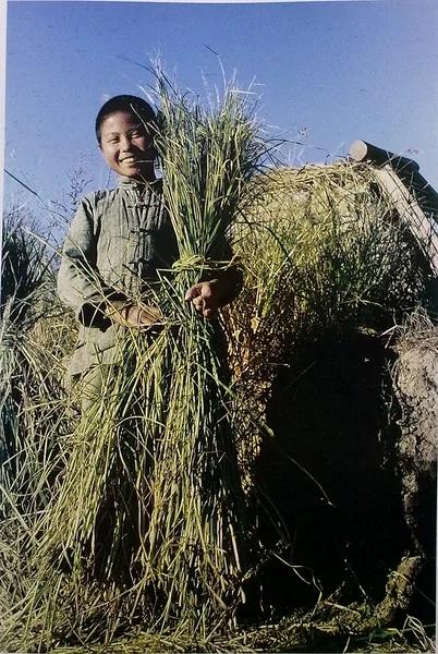 被骗了!飞虎队眼中的中国农村与农民