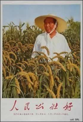 中共洗脑 半个世纪政治宣传画