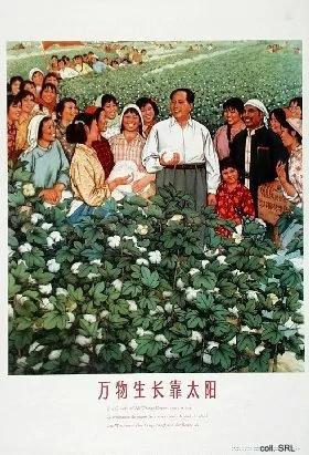 中共洗脑 半个世纪政治宣传画