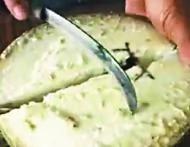 超甜树西瓜 想食要用锯