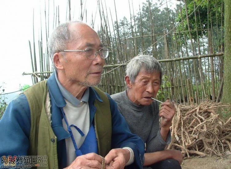 比半夜鸡叫更离奇:白毛女真相
