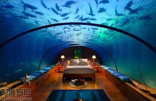 這家位於馬爾代夫的海底酒店，避難者或許能與與海洋的零距離接觸。