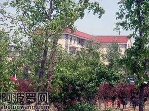 村长黄双来的别墅