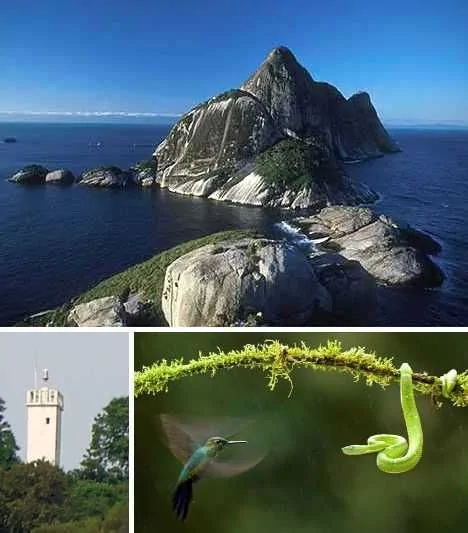 世界七座奇特蛇島：巴西無人小島毒蛇遍布(高清組圖)