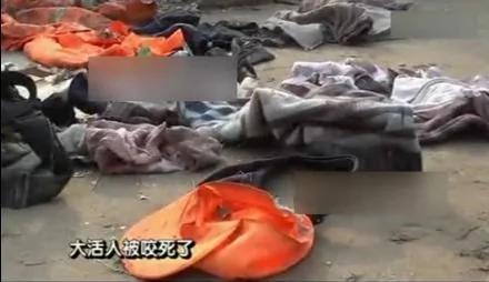 媒体称河南村干部养藏獒 将环卫工人活活咬死