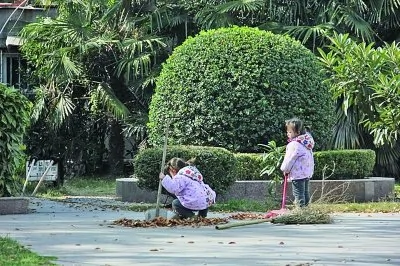 3岁双胞胎姐妹帮清洁工奶奶扫马路引关注