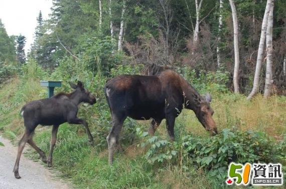 不去会后悔:走马观花加东10天自驾游